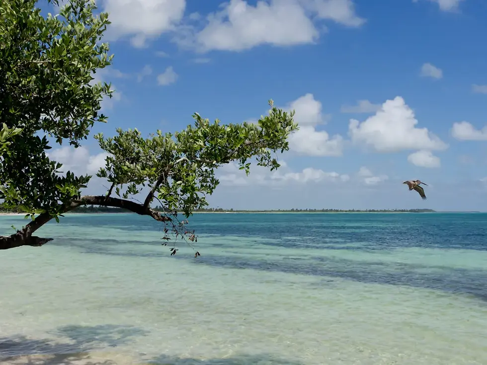RESERVA-DE-LA-BIOSFERA-DE-SIAN-KAAN-2