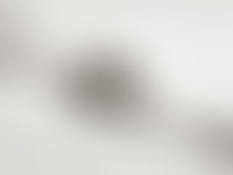 Adding 20 years to your life