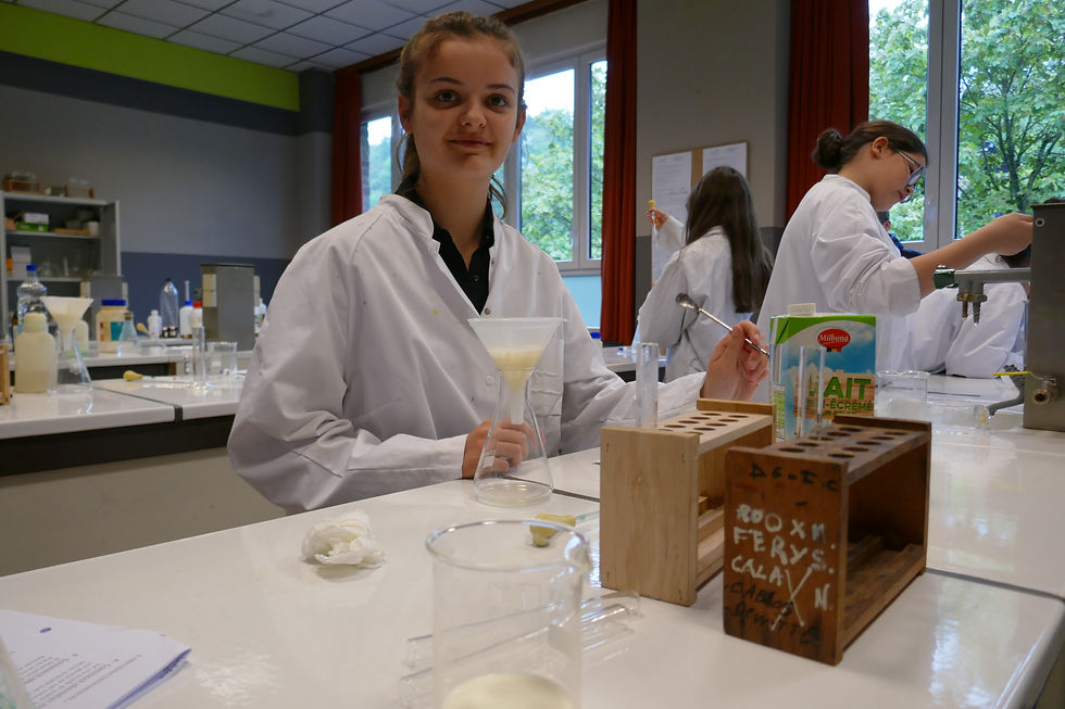 saint-raphael-formation-scientifique-sciences-8