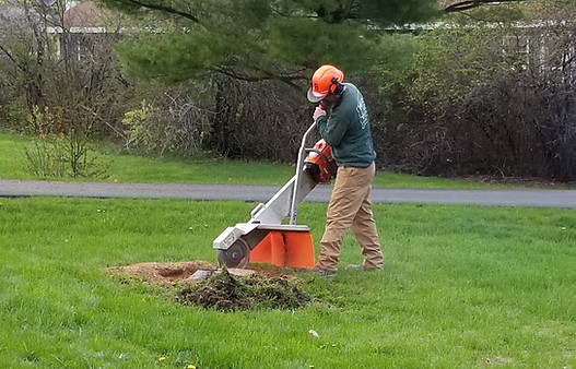 grinding a stump