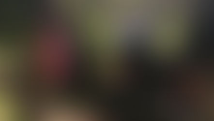 田舎ウォーキング