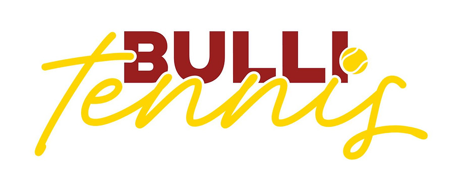 bulli logo.jpg