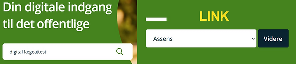 Link til Borgerservice-Assens.png