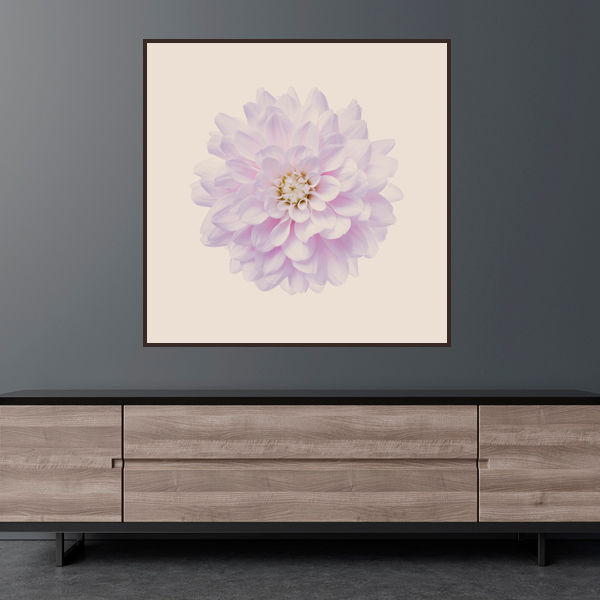 Thumbnail: Flower Studies 3   ·   White Dahlia