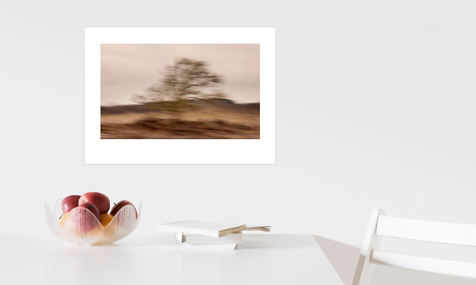 Thumbnail: Naked tree in motion   ·   1