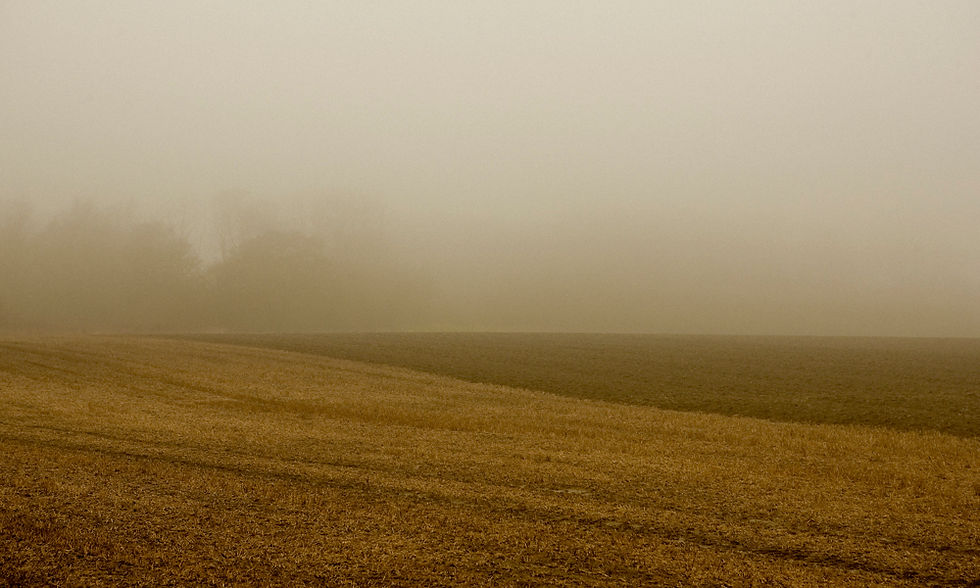 Thumbnail: Møn 4   ·   Denmark