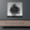 Thumbnail: 3 naked trees blends into one