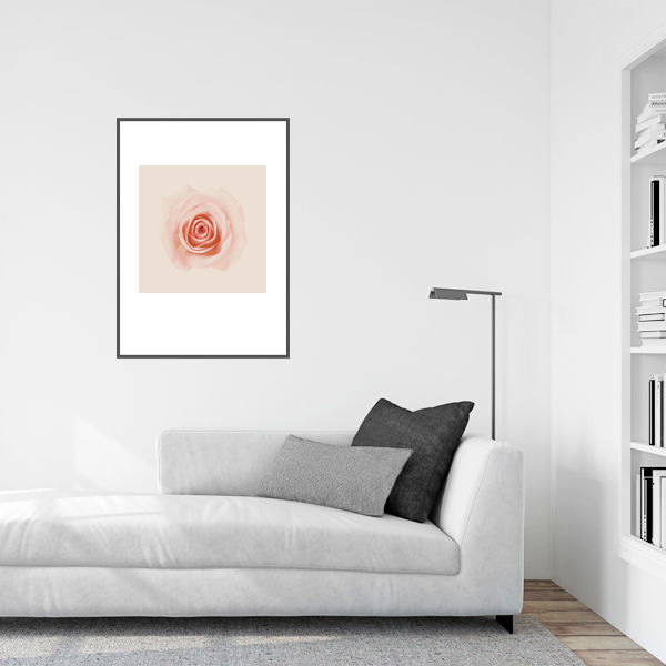 Thumbnail: Flower Studies 2   ·   Pink Rose