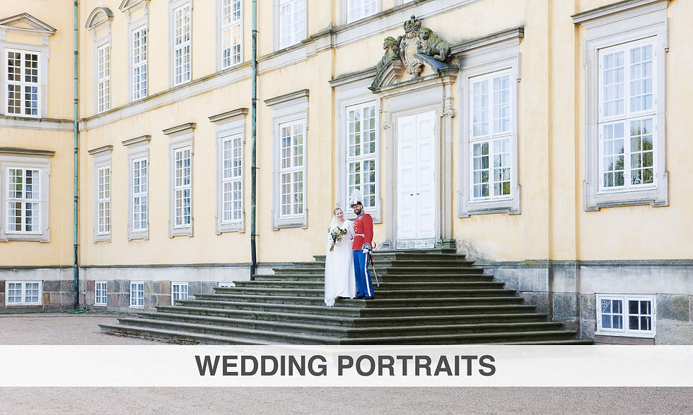 WEDDING PORTRAITS.jpg