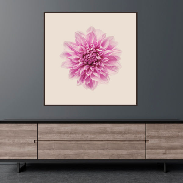 Thumbnail: Flower Studies 5   ·   Pink Dahlia