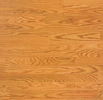 Butterscotch Oak Laminate Floor