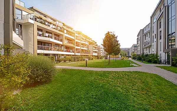 espace vert 6.jpg