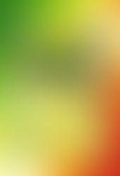 2025 -2026 大優惠 