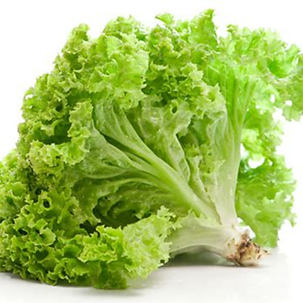 ผักกาดหอม	(Lettuce)	 1 kg																			