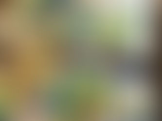 До Дня захисту дітей!