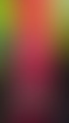 High Stakes, Human Heart