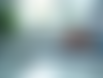 Қарағандыдағы тәуелсіз медициналық сарапшылардың қызметтері