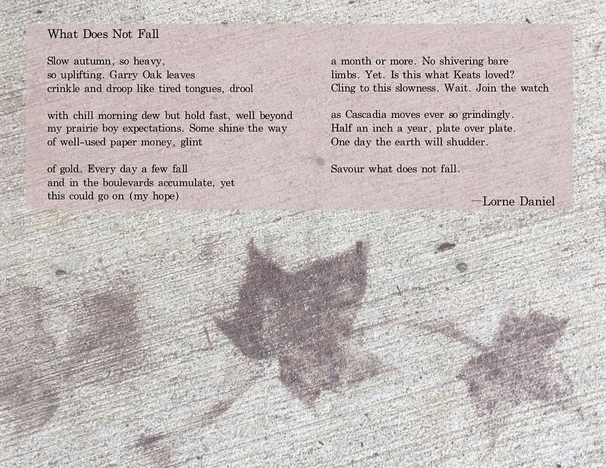 WhatDoesNotFall.jpg