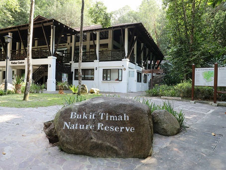 Bukit Timah Nature Reserve