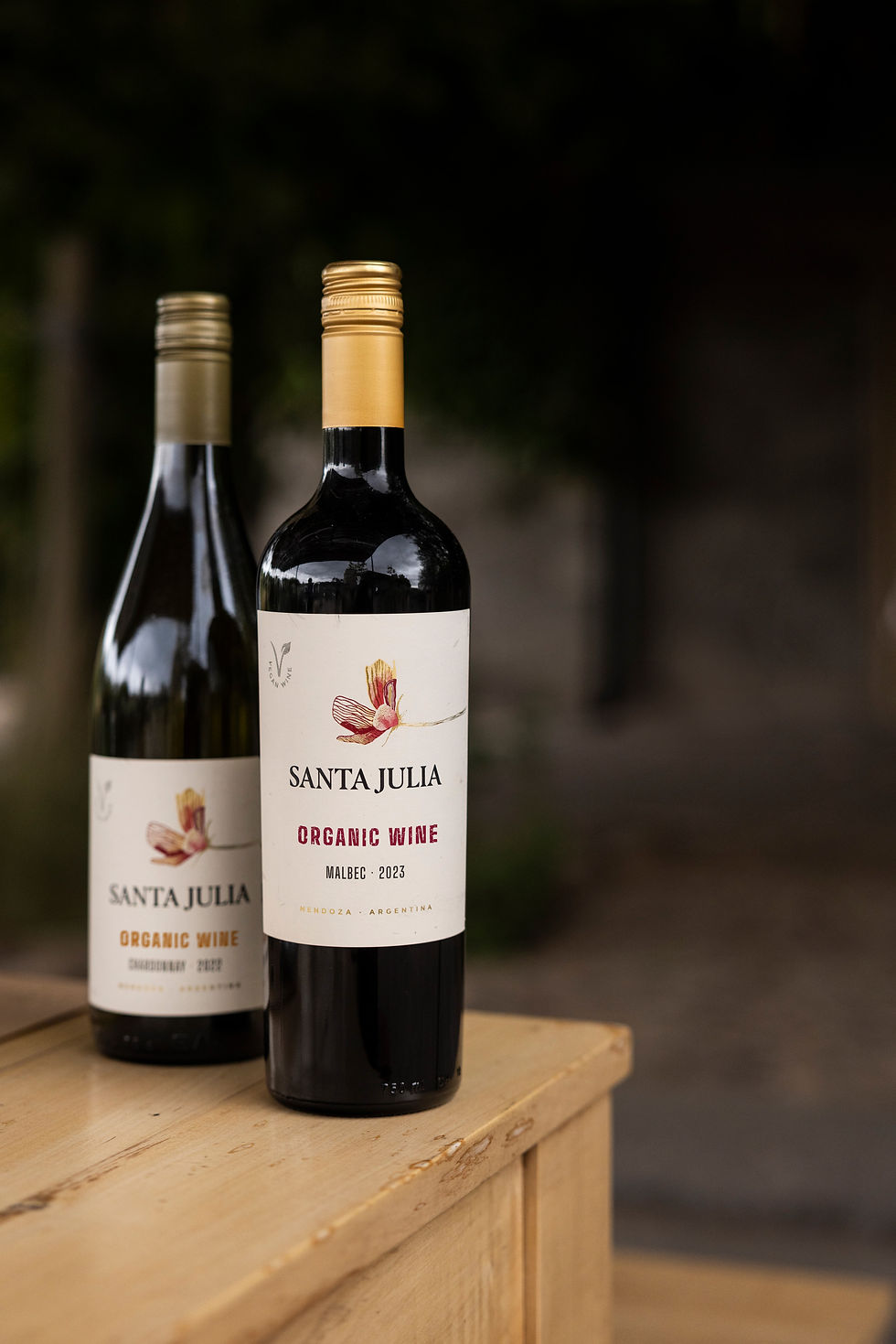 Thumbnail: Santa Julia Wine, Organic - Malbec