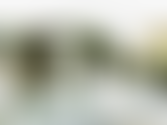 Spring Garden Wedding Color Palette – Blush, Sage & Ivory Romance