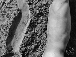 impronta n°4