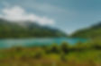 freepik__upload__22239.jpeg