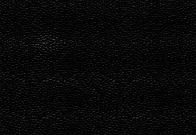 Fundo Couro Escuro.jpg