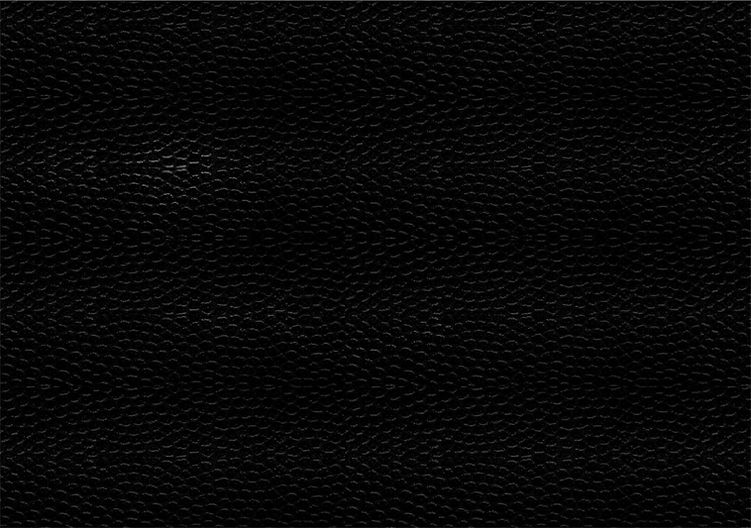 Fundo Couro Escuro.jpg