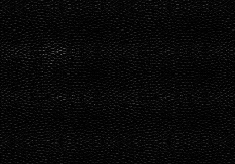 Fundo Couro Escuro.jpg