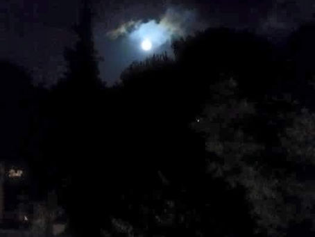 A Once-in-A-BlueMoon encounters....