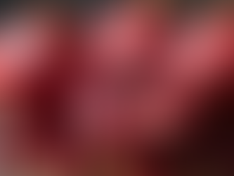 The Pomegranate Love Story of Brian and Lydia A Tale of Passion and Connection, granada, رمان, 石榴