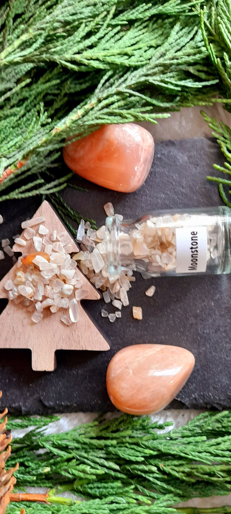 Thumbnail: Moonstone gempot