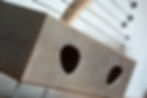 Antennore