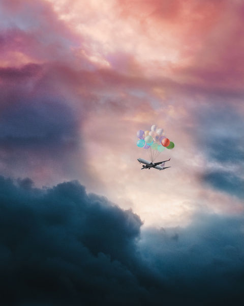 Fly away.jpg