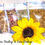 Thumbnail: Feminine Herbal Healing Package