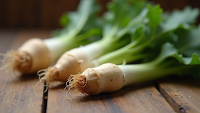 Burdock Root Herb Guide: Unlocking Nature’s Healing Treasure