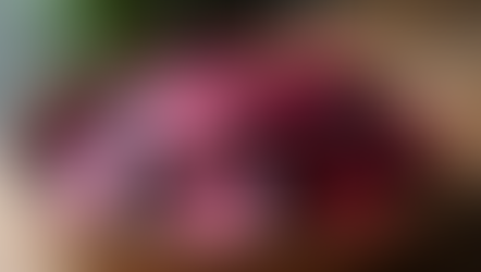 The Impact of Beet Root Powder on Severe Anemia Autism and How to Prepare It with a Dehydrator