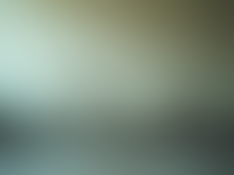 Preventing Moisture Damage with Damp Surveys