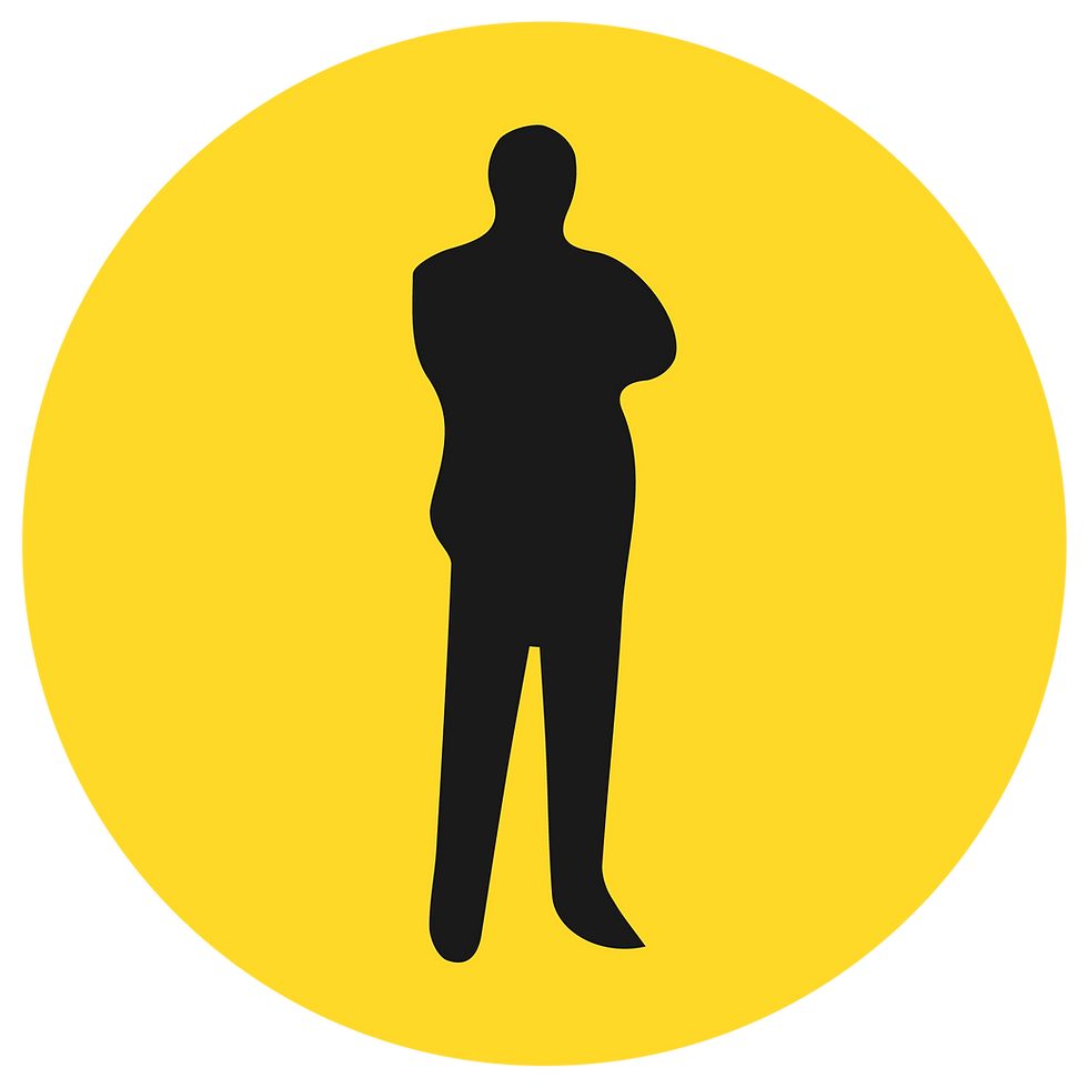 Mr. Biocid logo showing a black silhouette figure inside a yellow circle representing professional sterilization and mold removal services.