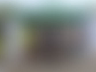 Festa dello Sport Vimodrone