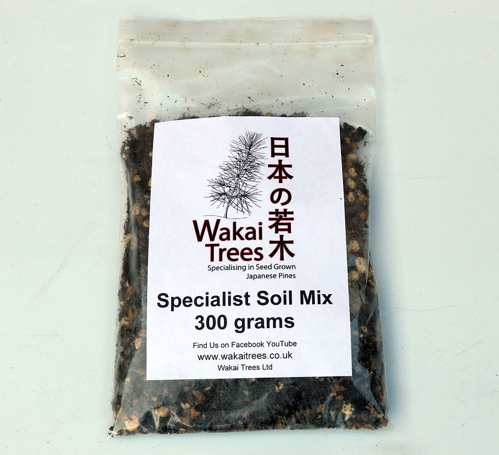 Thumbnail: Specialist Soil Mix, for Black & Red Pines