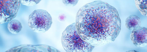 LPO PRP Therapy
