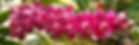 20220530_123014_edited_edited.jpg
