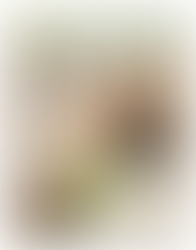 BARNES LUXURY HOMES printemps/été 2016 N°18