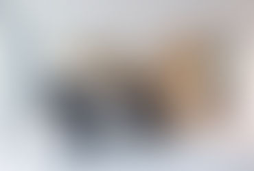 CBRE- Projet Husqvarna France