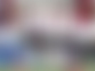 Kamprapport: Bologna-Milan (1-2)