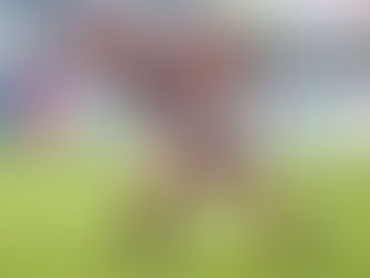 Spillervurderinger: Torino – Milan (1-1)