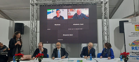 IMG-20221210-WA0046.jpg
