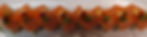 orange hawaian(8)